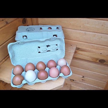 Neu! Landhaus Ostfriesenruhe Berumbur Esterno foto