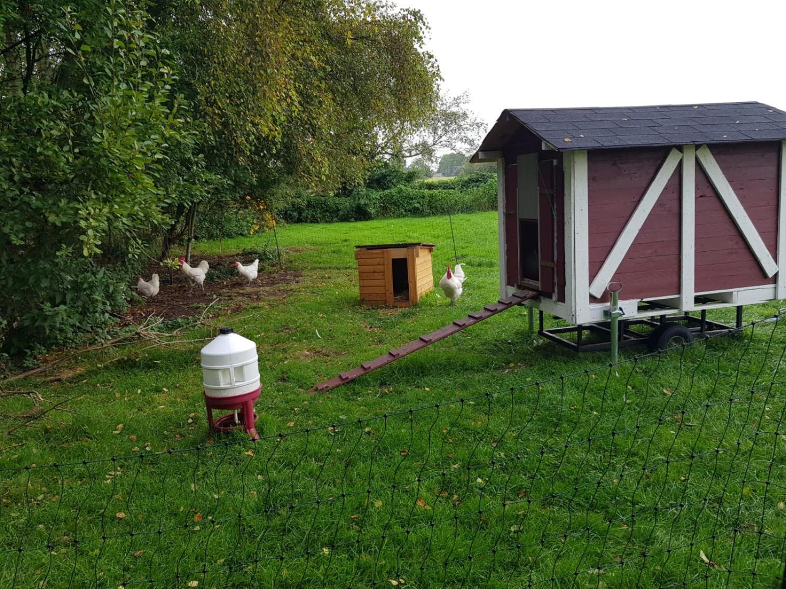 Neu! Landhaus Ostfriesenruhe Berumbur Esterno foto