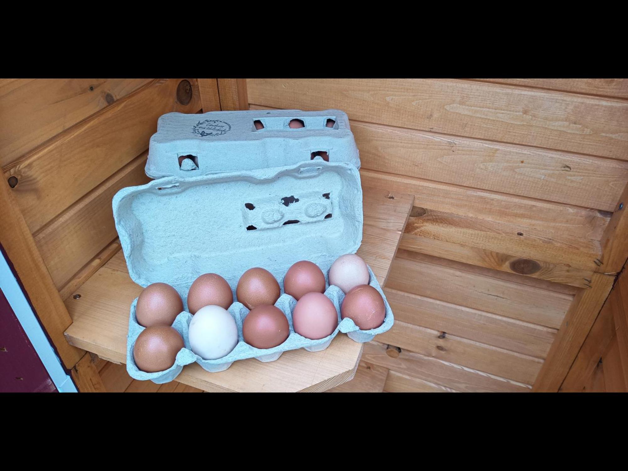 Neu! Landhaus Ostfriesenruhe Berumbur Esterno foto